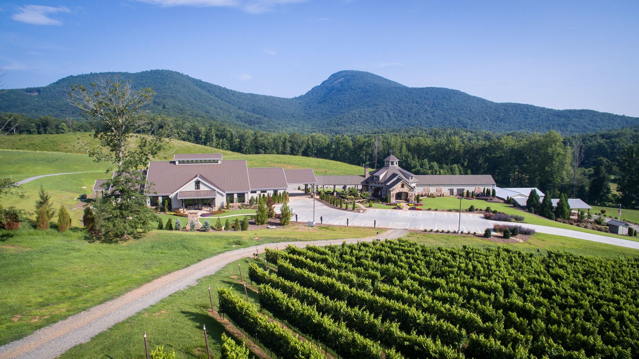 best georgia winery